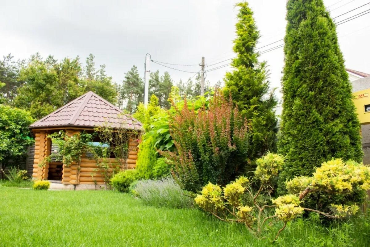 https://ussurijsk.tgv-stroy.ru/storage/app/uploads/public/637/ef4/fb3/637ef4fb3605f391429275.png